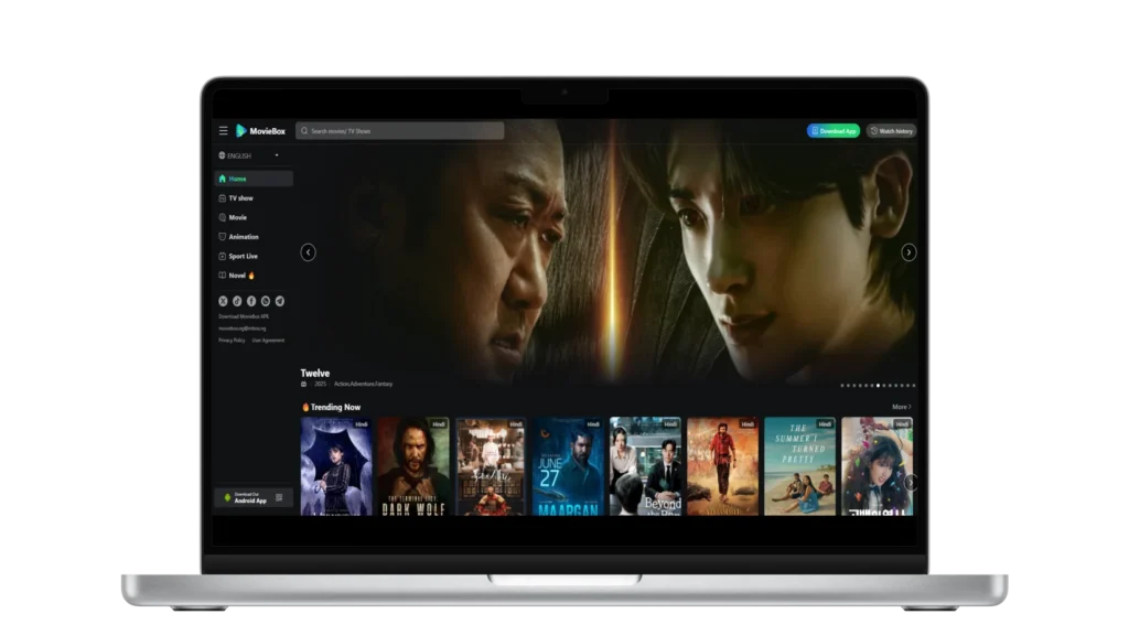 MovieBox Pro Web setup steps for browser access, account creation, and streaming on PC or Mac