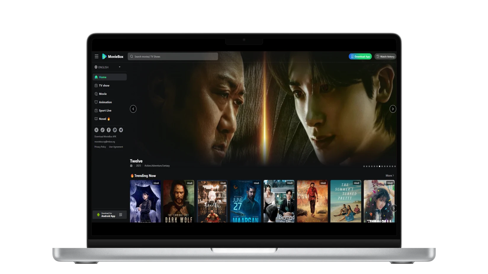 MovieBox Pro Web setup steps for browser access, account creation, and streaming on PC or Mac