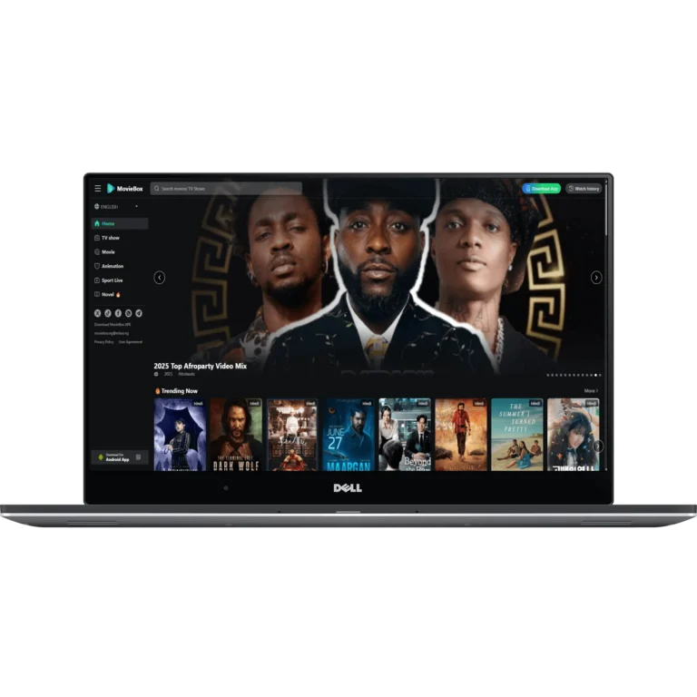 Movie Box Pro Windows installer with native support, features, and cautions.