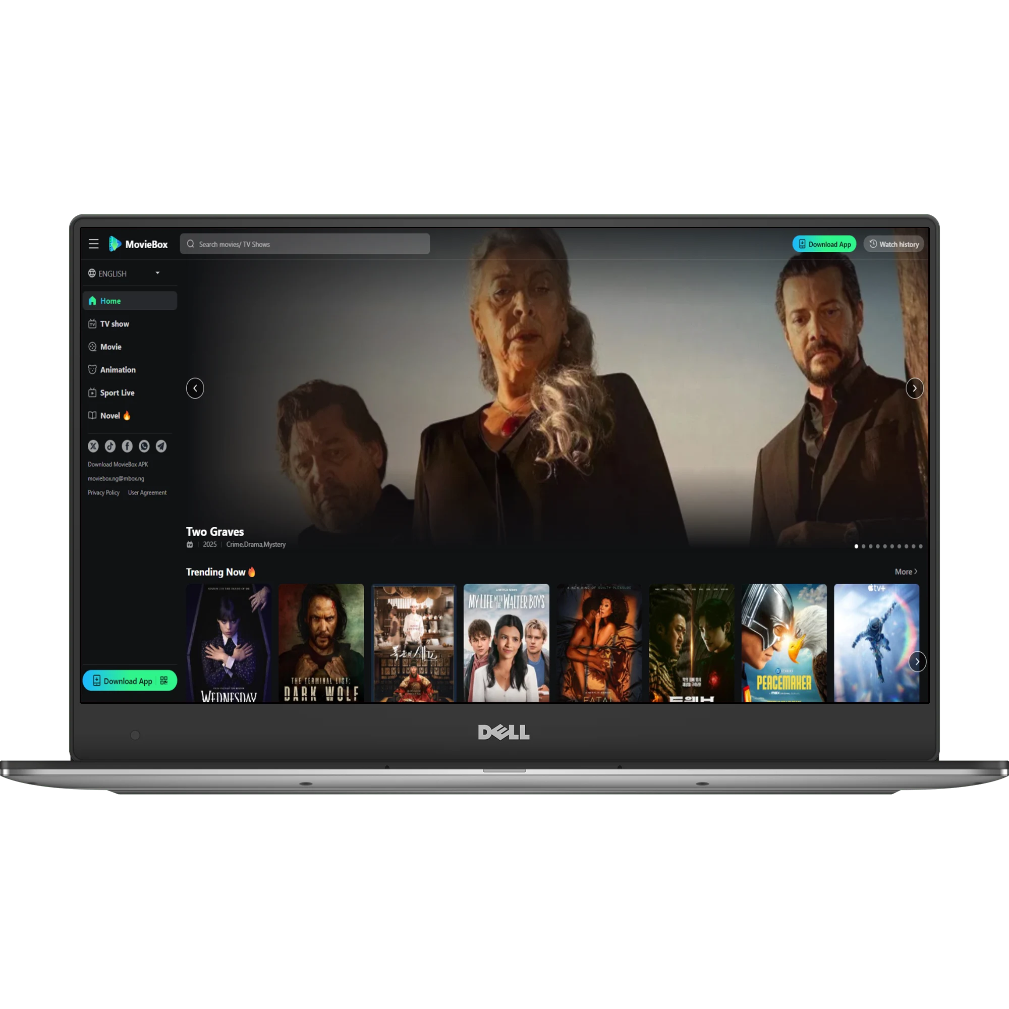 Movie Box Pro Windows app uncertainty with official claims and emulator fallback.